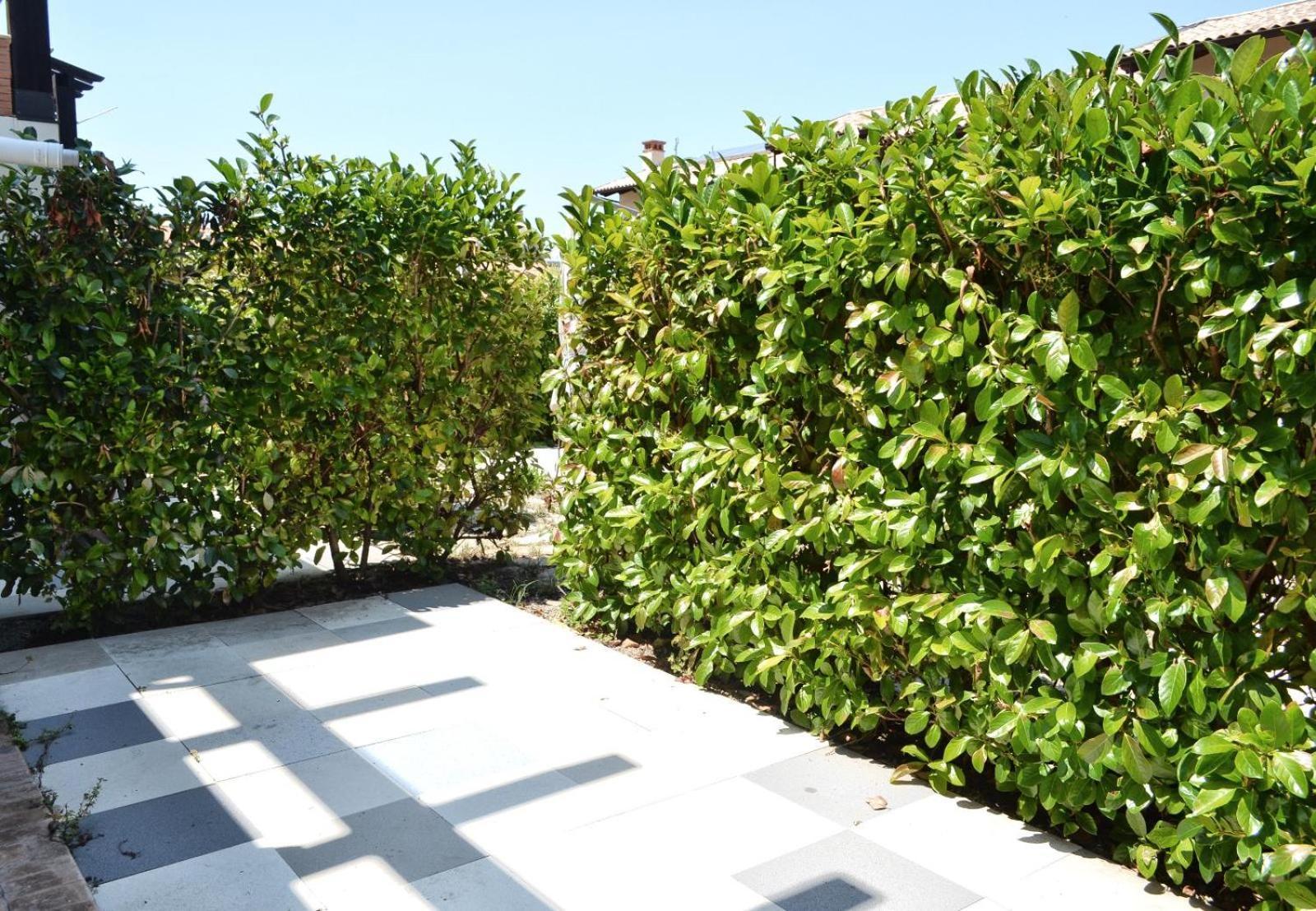 Le Case Del Carmine Con Giardino E Parcheggio A Tropea Eksteriør bilde