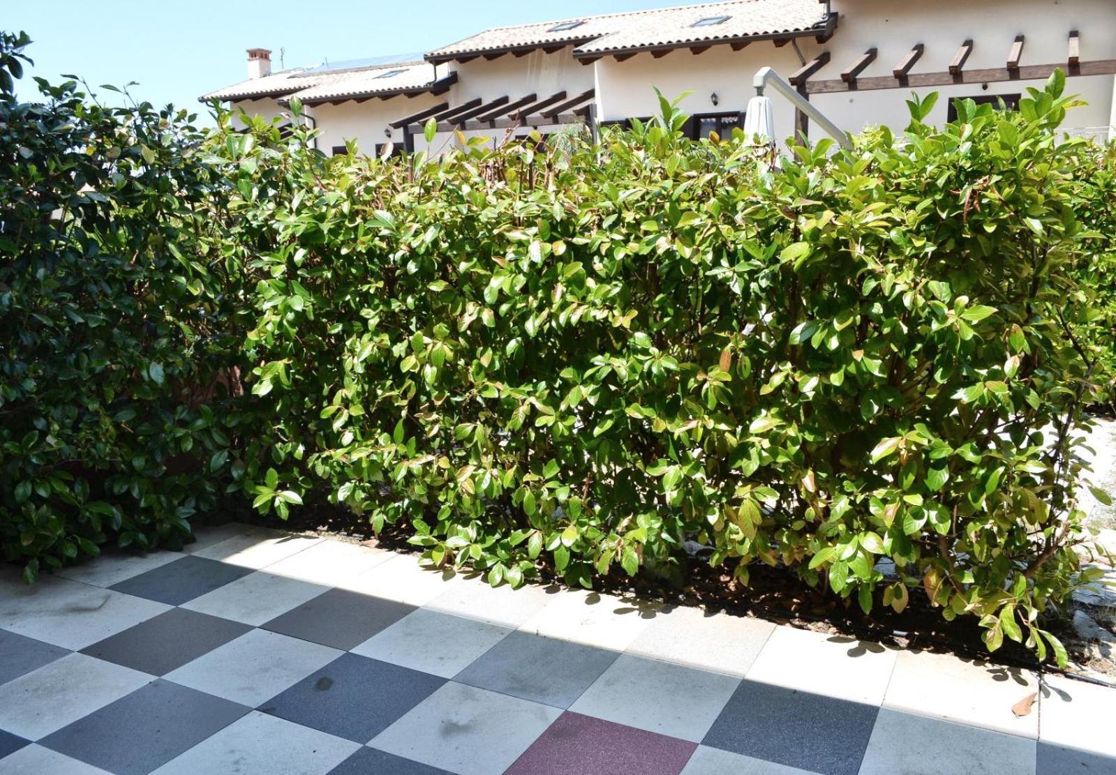 Le Case Del Carmine Con Giardino E Parcheggio A Tropea Eksteriør bilde